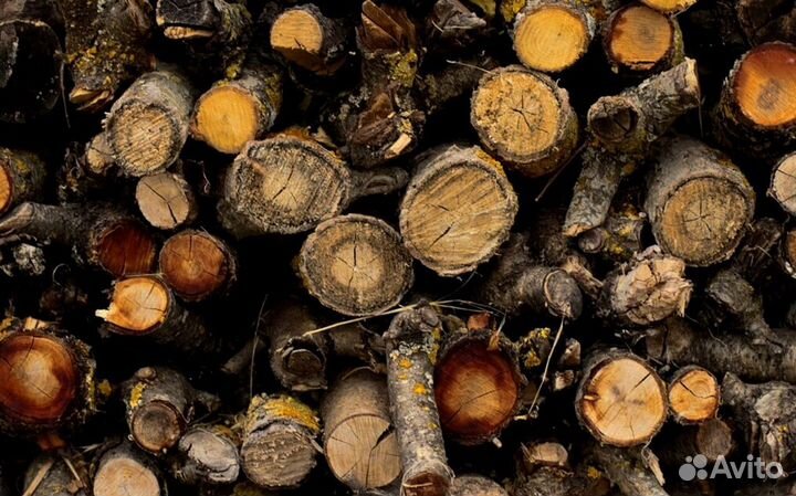 Дрова оптом