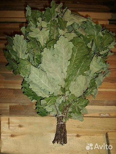 Продам дубовые веники