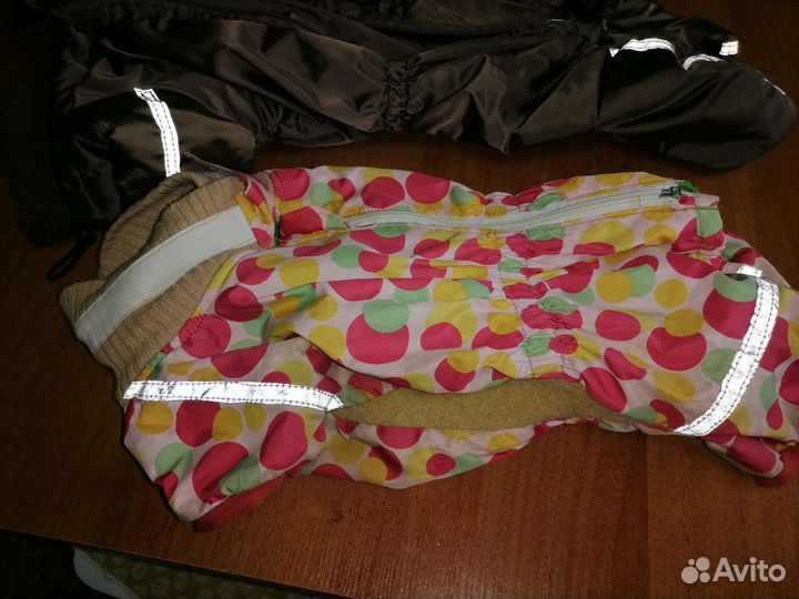 Пошив одежды для собак