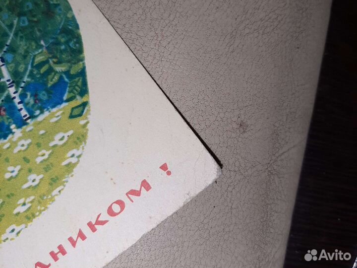 Открытка СССР Зарубина