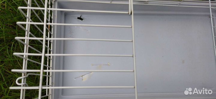 Продам клетки