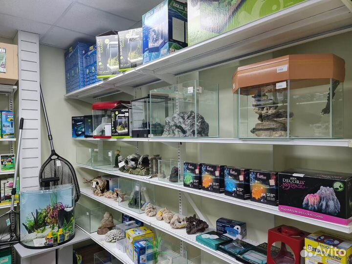 Аквариумы под ключ все размеры и формы гарантия