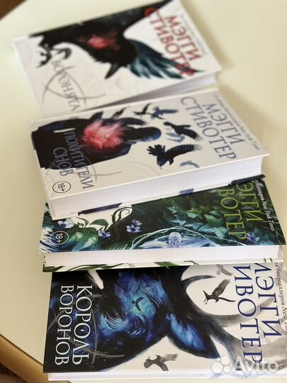 Мэгги Стивотер, цикл 