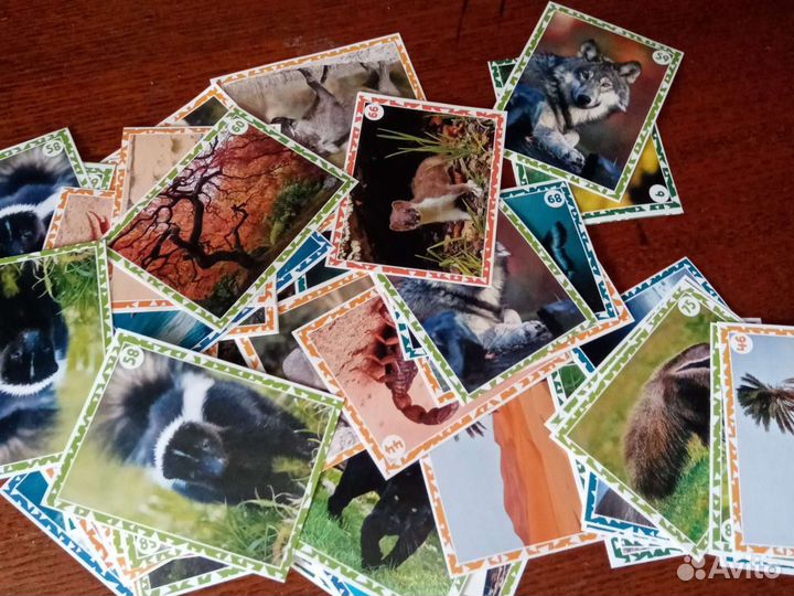 Наклейки живая планета