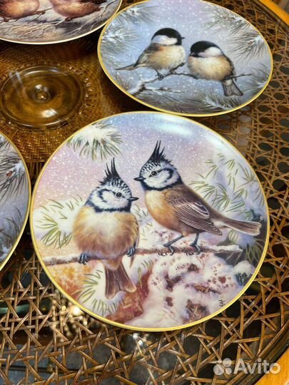 Настенная тарелка птицы