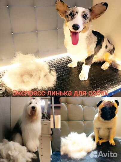 Грумер для собак и кошек с доставкой