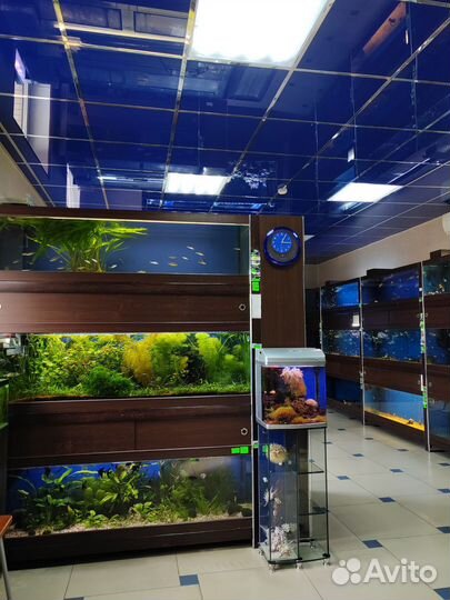 Аквариум и все для аквариума