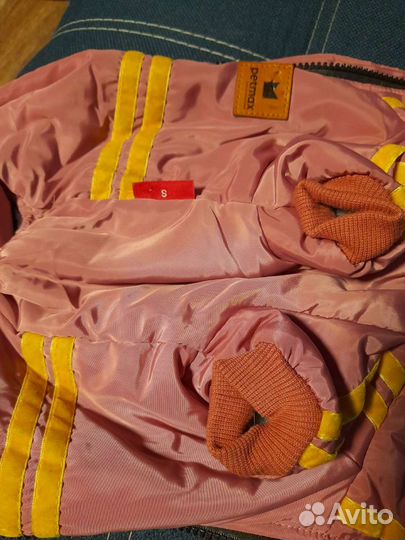 Одежда для собак