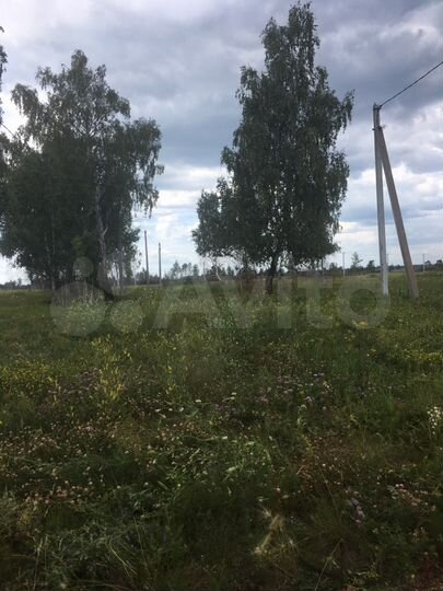 Участок 10,6 сот. (СНТ, ДНП)