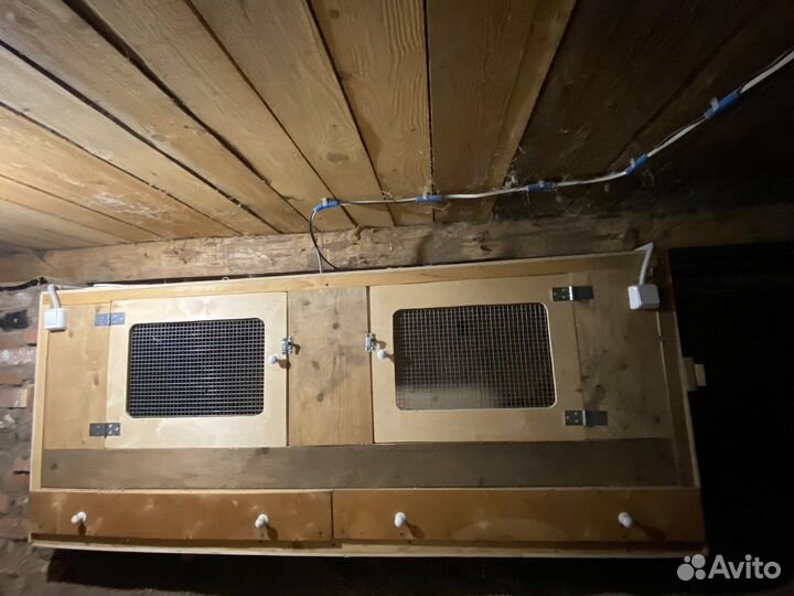 Брудер для цыплят