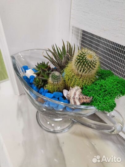 Подарок Флорариум Суккуленты