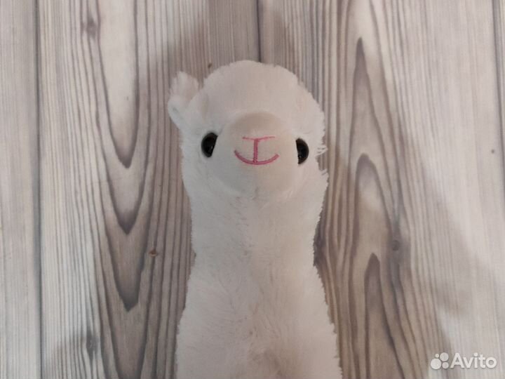 Собака лалафанфан, Лама, Зайка,Осьминог