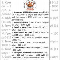 Амано, нефрит экстрим, бабаулти