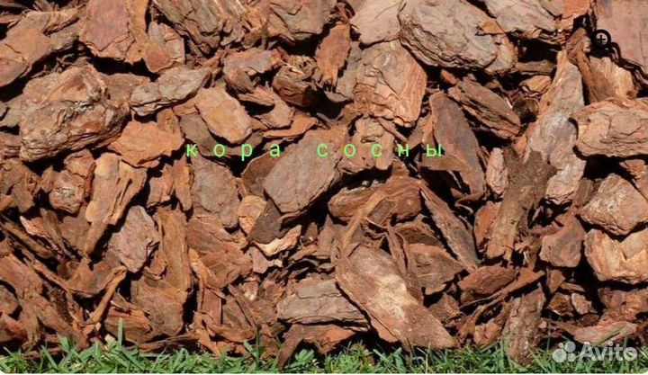 Кора сосны, мульча