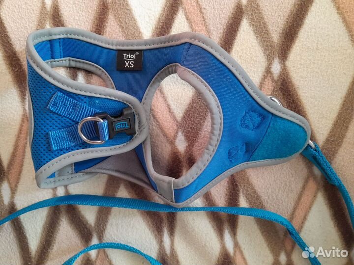 Комбез и шлейка