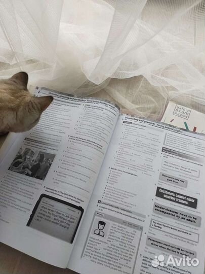 Учебник комплект Insight Intermediate SB + WB