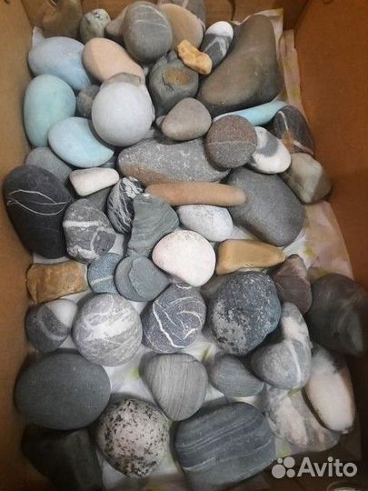 Галька крупная (Чёрное море)