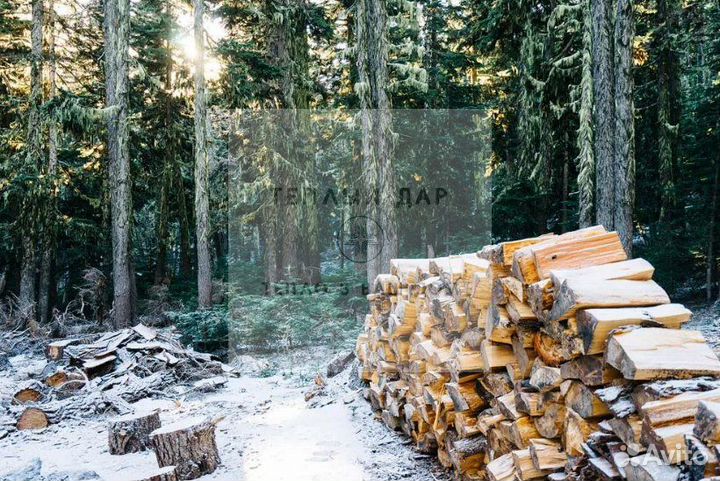 Дрова колотые