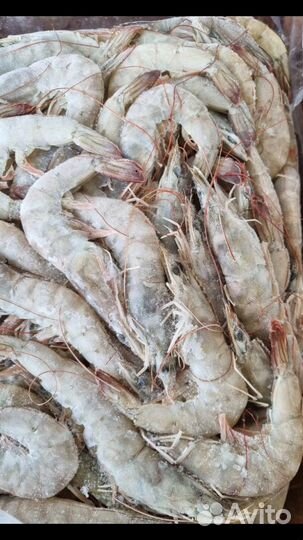 Креветки королевские Ваннамей