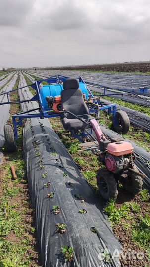 Опрыскиватель садовый