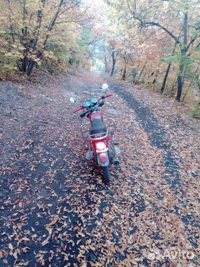 Мопед Альфа Crosser Bs50