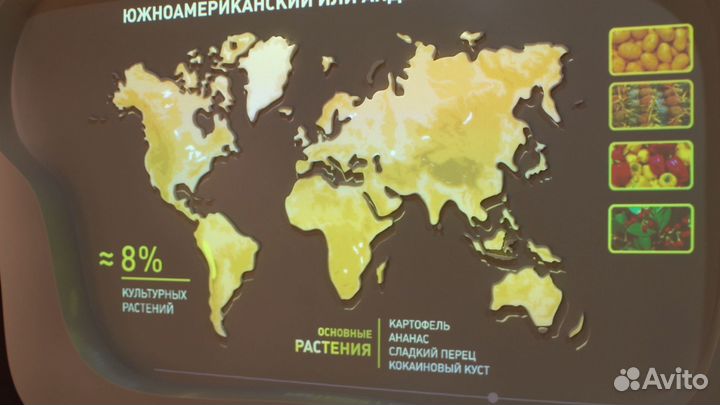 Экскурсия «Новый взгляд на историю»