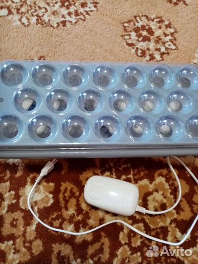 Проращиватель, Чудо грядка