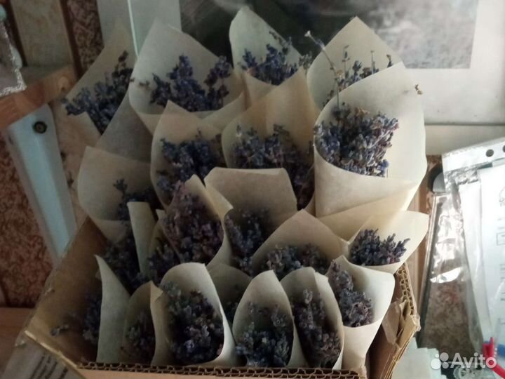 Букет из лаванды