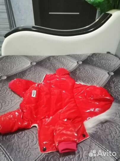 Одежда для маленьких собак м