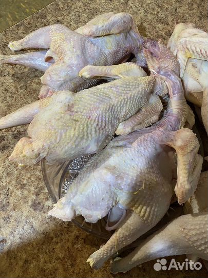 Мясо молодых петухов