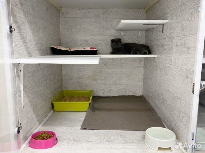 Передержка животных (домашняя/вольерная)