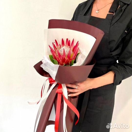 Протея в оформлении