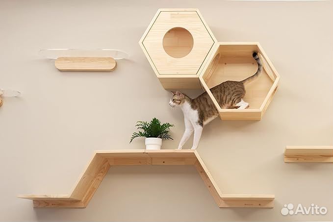 Прогулочно- развлекательным комплексом для кошек