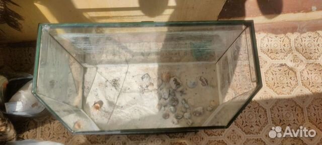 Панорамный Аквариум