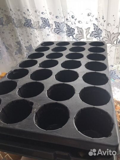 Ячейки для рассады