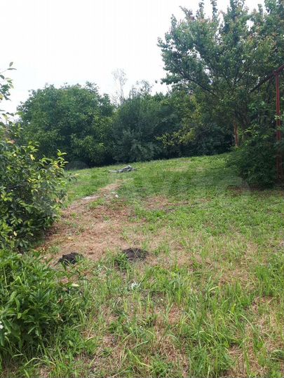 Дом 47,9 м² на участке 19,7 сот.