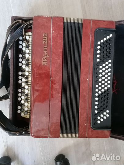 Баян тула 202