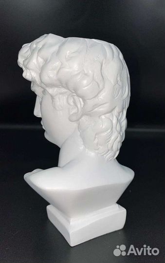 Бюст/голова Давида