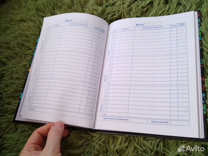 Дневник школьный