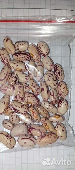 Семена.фасоль разные сорта