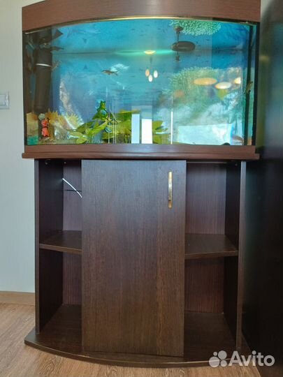 Аквариум с тумбой 100 литров
