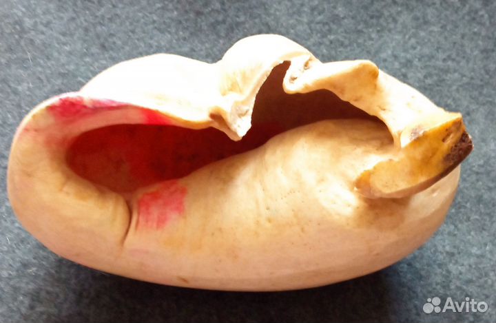 Изделие из кости ухо кита