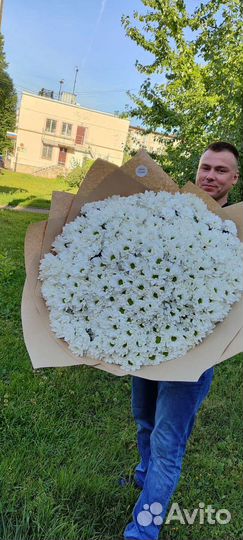 Букет гигант из хризантем ромашка