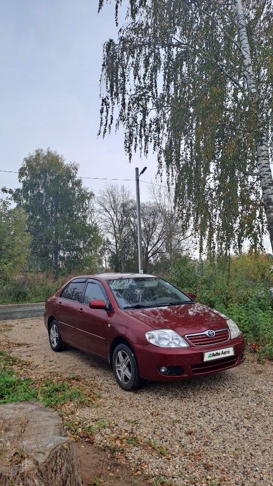 Toyota Corolla: фото владельца