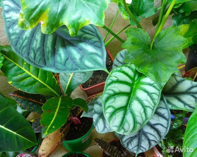 Интернет магазин