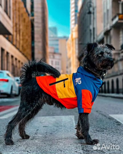Куртка утепленная для собак (новая)