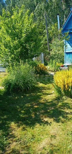 Дача 44 м² на участке 8 сот.