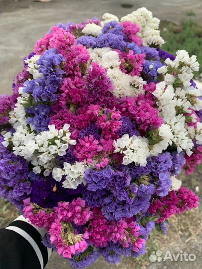 Букет из сухоцветов статицы