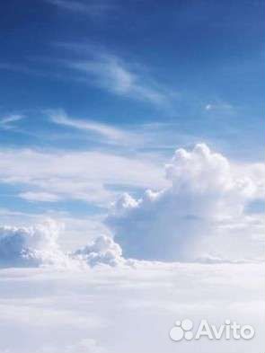 Оператор птицевод