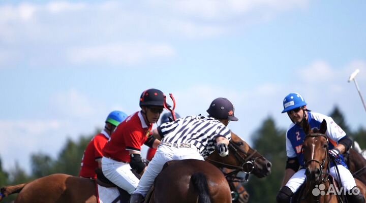 Видеомонтаж и анимация